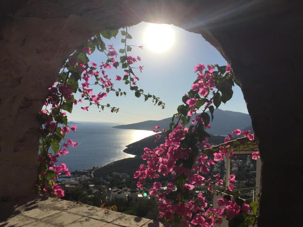 Villa Valo Kalkan Exterior foto